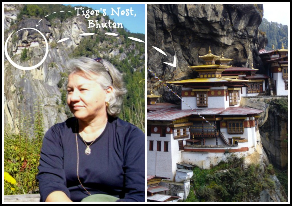 iinda and tigers nest collage