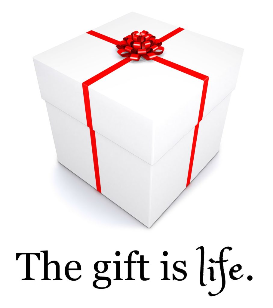 gift-is-life