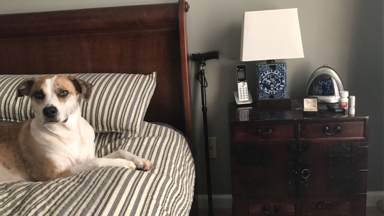 Midlife and The Cane at My Bedside